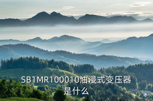 油浸式變壓器什么是酚推，SB1MR100010油浸式變壓器是什么