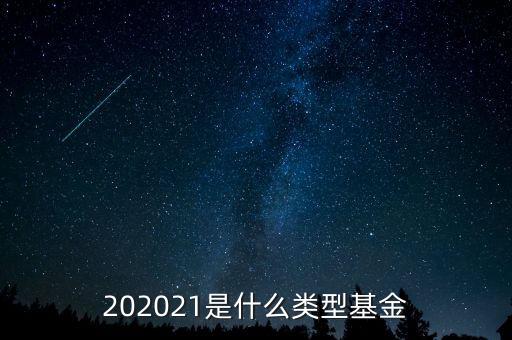 202021是什么類(lèi)型基金