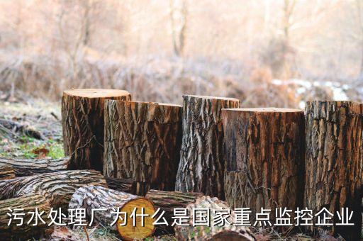 重點監(jiān)控企業(yè)為什么，稅務局來電要我們公處理重點監(jiān)控是什么意思