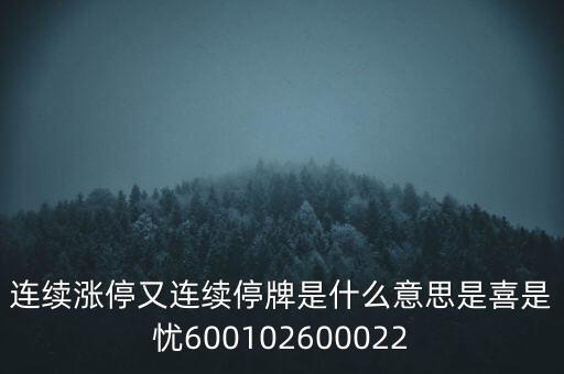 600139連續(xù)停牌是什么意思，股票連續(xù)停牌是什么意思