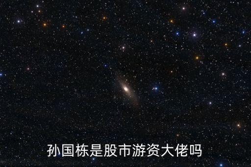 股市趙老哥真名叫什么，A股市場(chǎng)中的老趙哥是什么人是靠自己的本事做的1萬(wàn)倍嗎  問(wèn)