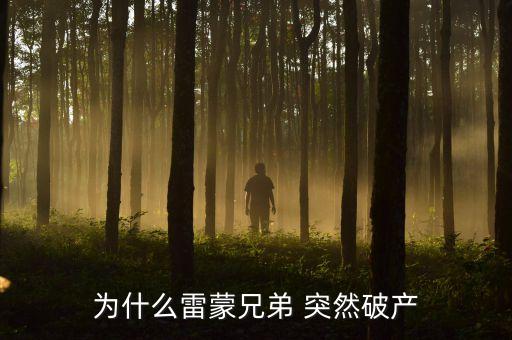 雷曼兄弟為什么破產(chǎn)，雷曼兄弟是因為什么而破產(chǎn)的