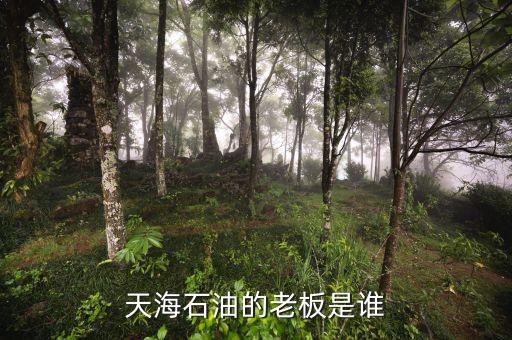 天海收購英邁什么時(shí)間，信用卡能不能申請延遲2天海款