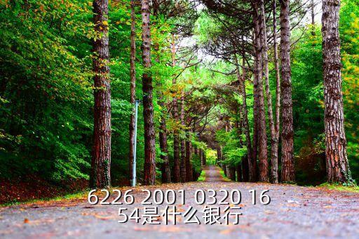625166是什么銀行，6226 2001 0320 1654是什么銀行