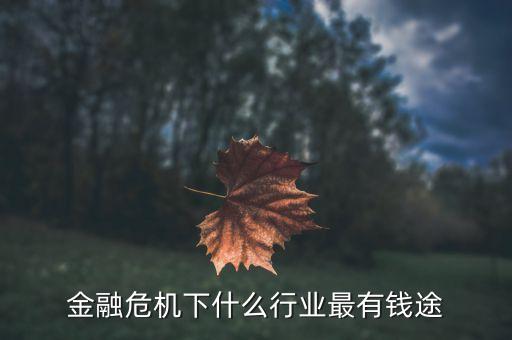 資本國(guó)家經(jīng)濟(jì)危機(jī)后什么行業(yè)掙錢(qián)，金融危機(jī)下什么行業(yè)最有錢(qián)途