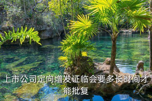 中珠控股定向增發(fā)什么時候批下來，上市公司定向增發(fā)證臨會要多長時間才能批復(fù)