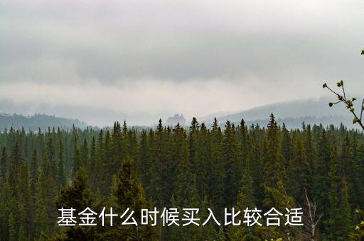 基金在什么時候買入，買入基金的最佳時機(jī)