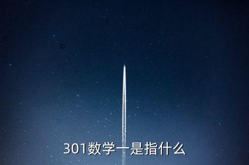 301數學一是指什么