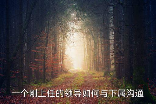 新任董事長應該做什么，董事會換屆選舉怎么做