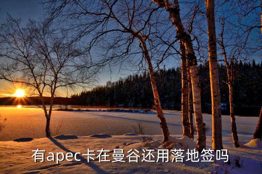 apec為什么有俄羅斯，亞太經(jīng)合組織怎么樣為什么中國1991年才加入怕俄羅斯聯(lián)邦嗎