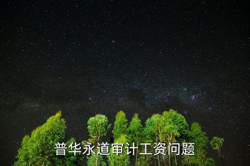 普華審計做什么，普華永道審計工資問題