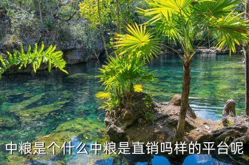 中糧明誠是什么，你好請問你在中糧生化衡水有限公司應(yīng)聘成功了嗎這個公司是