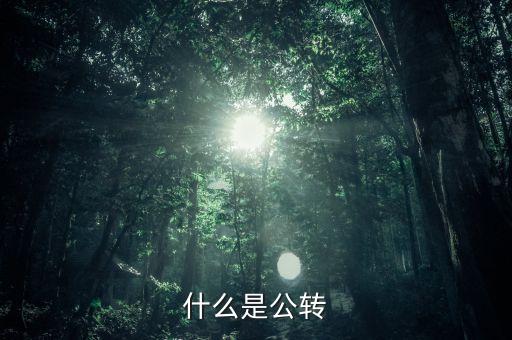 公轉(zhuǎn)書(shū)是什么，什么是公轉(zhuǎn)