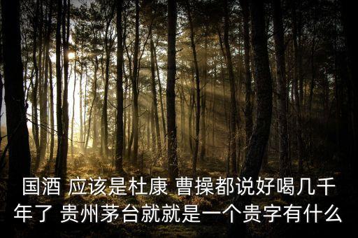 為什么不拿杜康當(dāng)國酒，為什么杜康酒沒有成為中國十大名酒之一