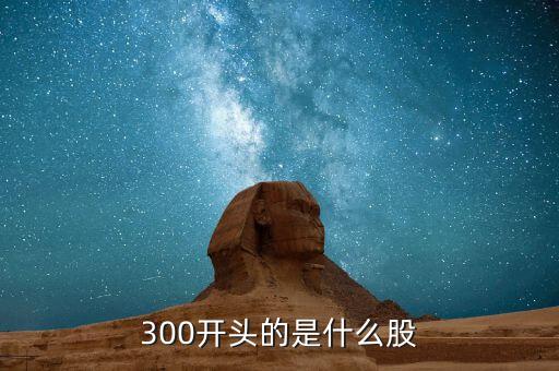 300的股票是什么股票，300開頭的股票代碼屬于什么股