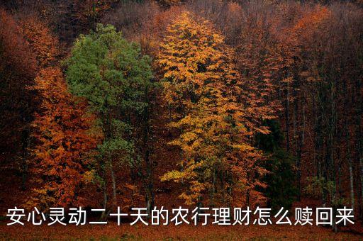 安心靈動20天什么時候可以贖回，安心靈動二十天的農(nóng)行理財怎么贖回來