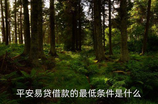 平安信保易貸是什么，平安易貸借款的最低條件是什么