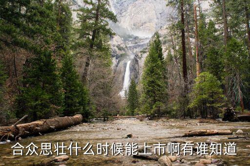 合眾思壯什么時候復(fù)牌，合眾思壯什么時候能上市啊有誰知道