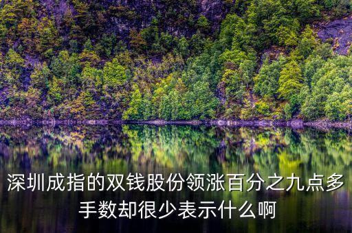 雙錢股份是什么公司，深圳成指的雙錢股份領(lǐng)漲百分之九點(diǎn)多 手?jǐn)?shù)卻很少表示什么啊