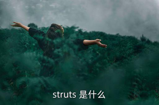 什么是中植系，struts 是什么