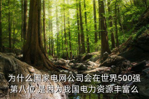為什么國家電網(wǎng)公司會在世界500強(qiáng)第八位 是因為我國電力資源豐富么