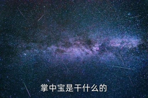 保險(xiǎn)掌中寶是什么，掌中寶是干什么的