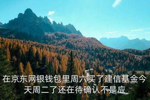 002378建信什么時候確認(rèn)份額，在京東網(wǎng)銀錢包里周六買了建信基金今天周二了還在待確認(rèn)不是應(yīng)