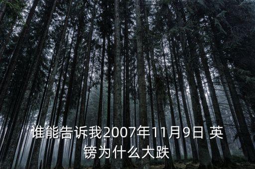 誰(shuí)能告訴我2007年11月9日 英鎊為什么大跌