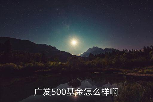 廣發(fā)500凈值為什么很低，廣發(fā)500基金怎么樣啊