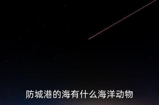 什么是沿邊金融，防城港的海有什么海洋動(dòng)物