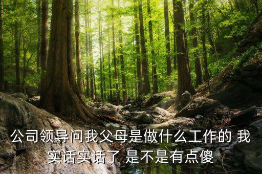 公司問(wèn)父母是做什么的，公司領(lǐng)導(dǎo)問(wèn)我父母是做什么工作的 我實(shí)話實(shí)話了 是不是有點(diǎn)傻