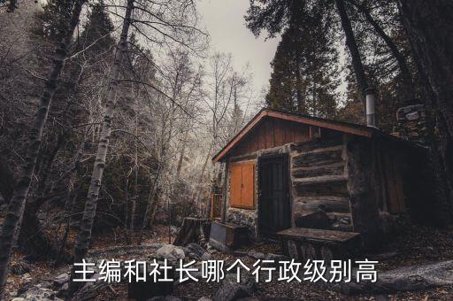 檢察日?qǐng)?bào)副社長(zhǎng)是什么級(jí)別，檢察日?qǐng)?bào)社總編輯是什么級(jí)別