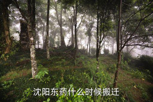 有沈陽(yáng)東北制藥搬遷是什么時(shí)候嗎，沈陽(yáng)東藥什么時(shí)候搬遷
