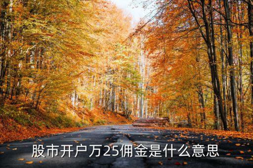 股市開(kāi)戶萬(wàn)25傭金是什么意思