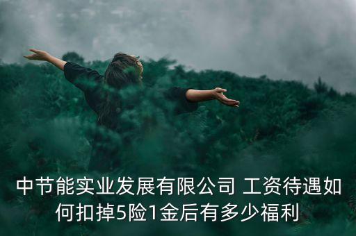 中節(jié)能集團(tuán)什么級別，中節(jié)能實(shí)業(yè)發(fā)展有限公司 工資待遇如何扣掉5險(xiǎn)1金后有多少福利