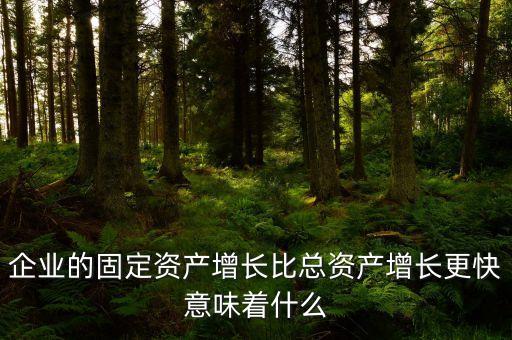 固定資產(chǎn)增長(zhǎng)說明什么，流動(dòng)資產(chǎn)固定資產(chǎn)長(zhǎng)期投資都增加從公司資產(chǎn)規(guī)模及變動(dòng)趨勢(shì)