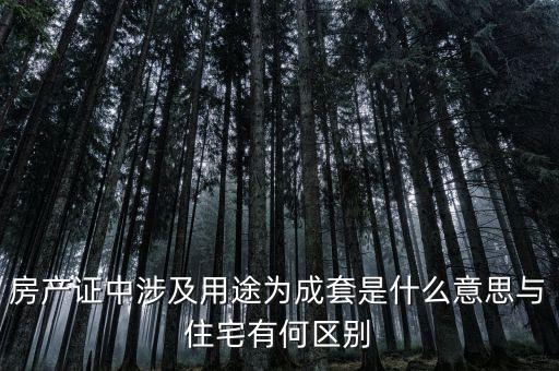 什么是成套項(xiàng)目，什么叫中型成套工程項(xiàng)目