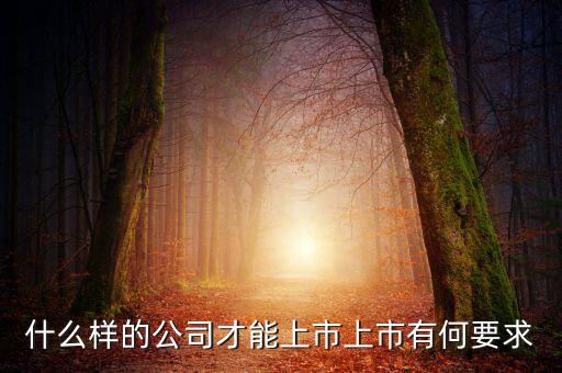 什么樣的公司可以上市，什么樣的公司才能上市上市有何要求