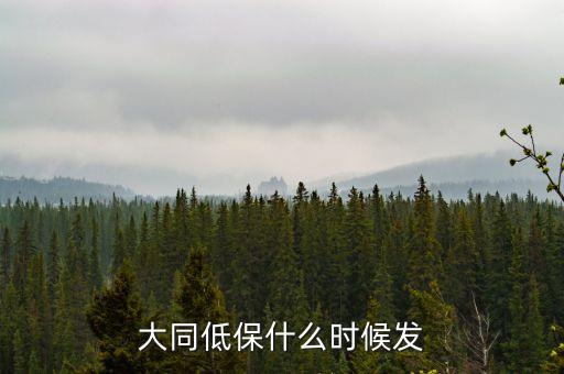 大同市學(xué)校低保補(bǔ)助什么時(shí)候到賬，大同低保什么時(shí)候發(fā)