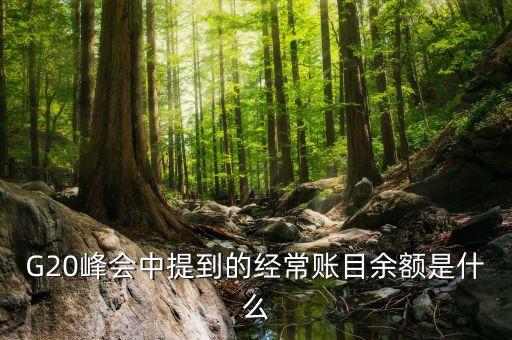 什么是經(jīng)常項目余額，經(jīng)常項目差額的什么是經(jīng)常項目差額