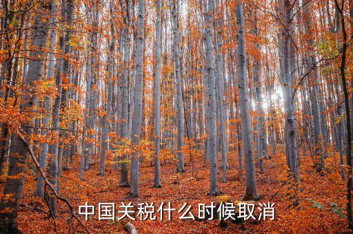 中國(guó)什么時(shí)候取消關(guān)稅，中國(guó)應(yīng)該在哪年取消關(guān)稅