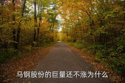 馬鋼集團(tuán)為什么還不倒，馬鋼集團(tuán)為什么沒排在世界500強(qiáng)中