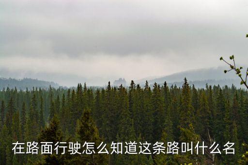 什么叫路條，什么叫做條條道路通羅馬