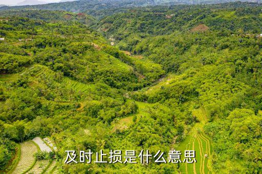 適時止損是什么意思，勿糾結(jié)于沉沒成本 即時止損什么意思