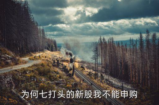 732027為什么申購(gòu)不了，為什么732717股票不能申購(gòu)