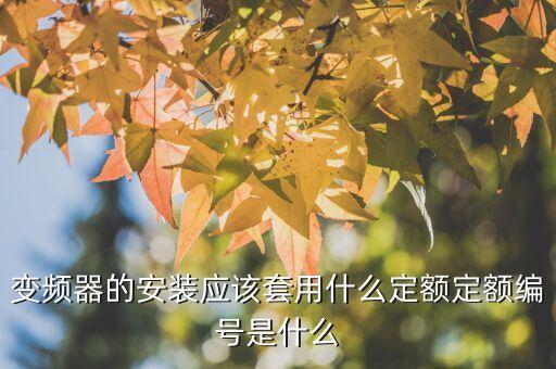 變頻器的安裝應(yīng)該套用什么定額定額編號是什么