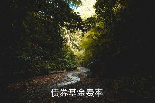 債券基金費(fèi)率什么意思，債券基金費(fèi)率