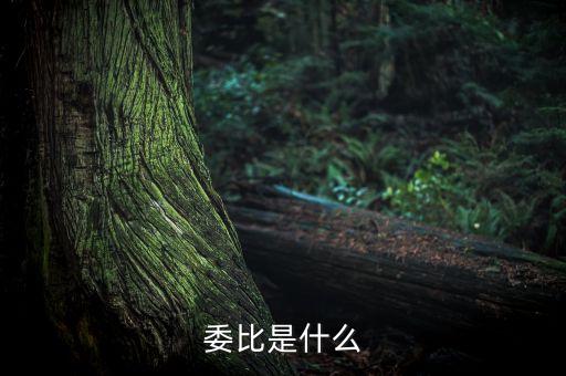 什么是委比指標(biāo)，股票里面的委比是什么意思