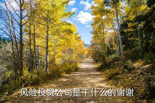 風險投資公司是干什么的謝謝
