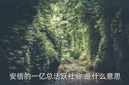 一億總活躍社會(huì)是什么， 安倍的一億總活躍社會(huì) 是什么意思